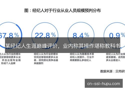 某经纪人生涯巅峰评价，业内称其操作堪称教科书